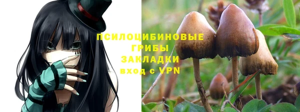 круглые Алексин