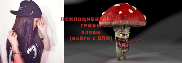 apvp Алексеевка