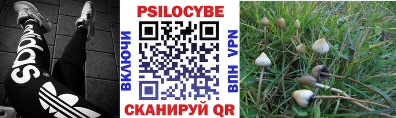 где купить   Карабаш  Галлюциногенные грибы мухоморы 